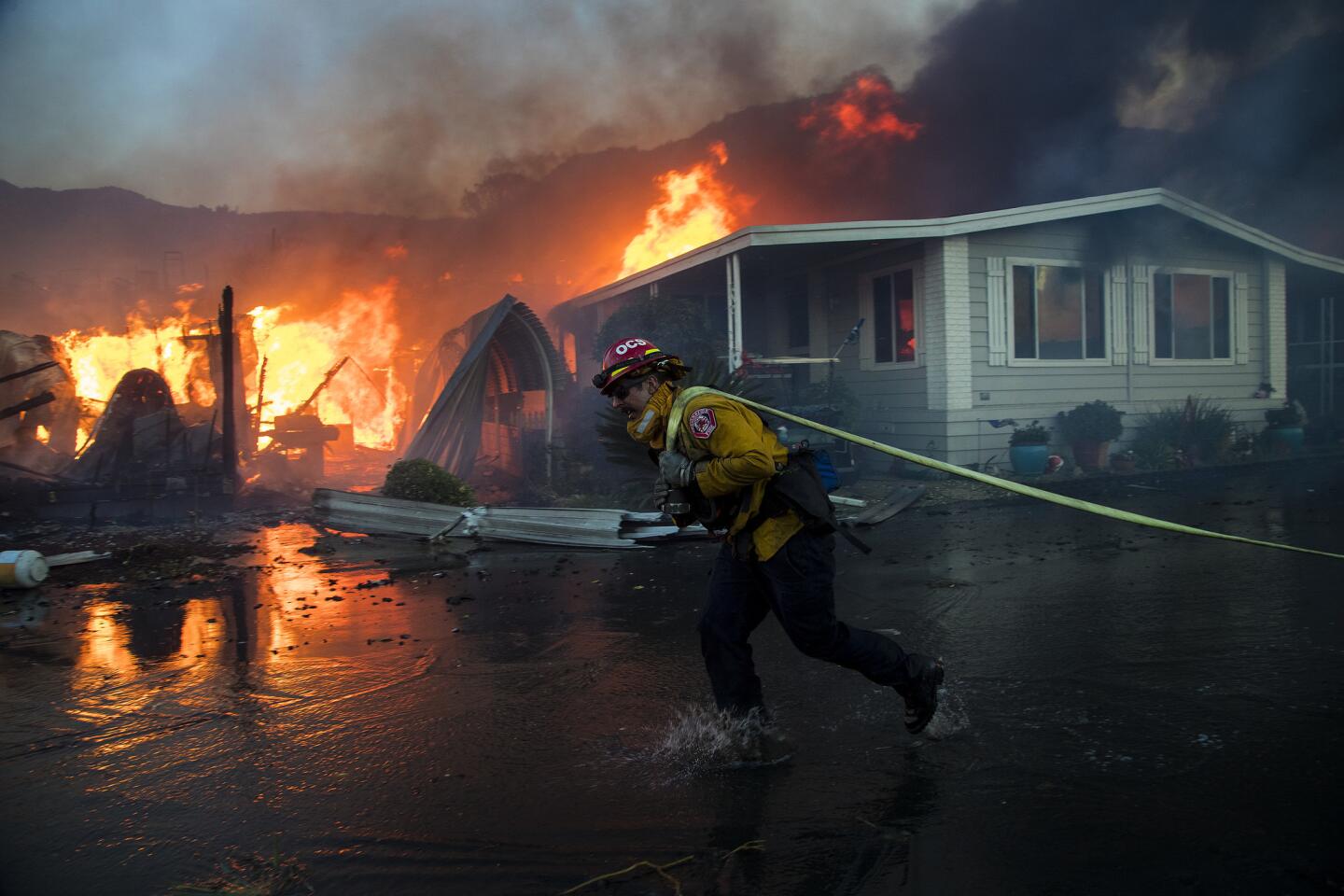 California: Incendio atrapa a campistas en bosque nacional - San Diego  Union-Tribune en Español