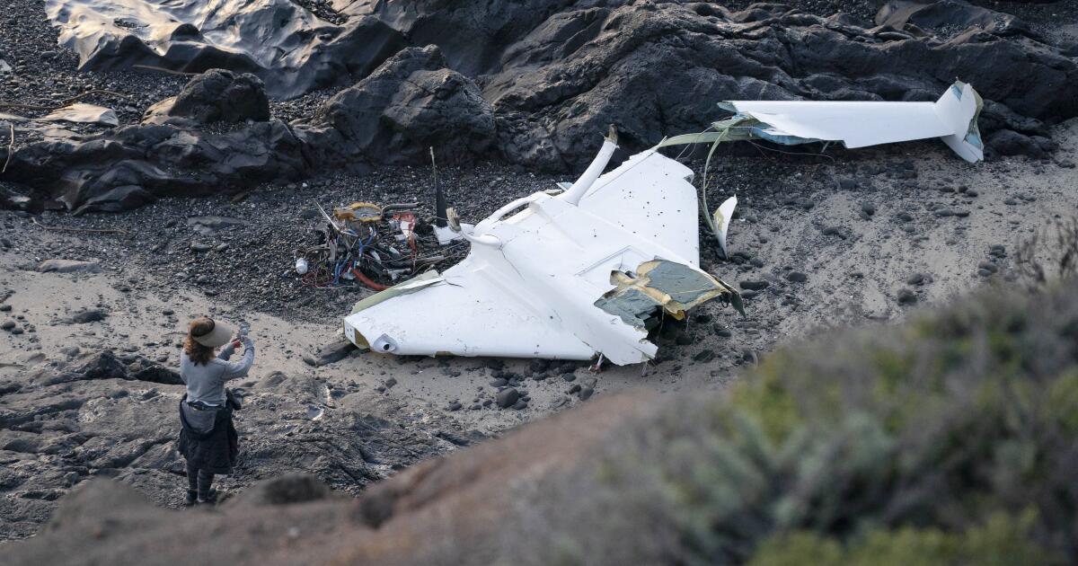Plane in fatal Half Moon Bay crash was 'amateur-built,' considered experimental