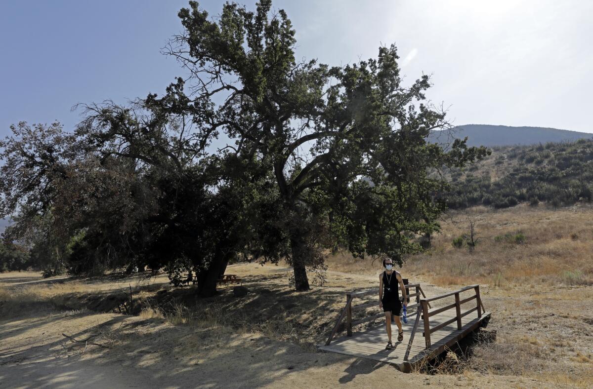 A person walks across a small wooden bridge amid a dry landscape.