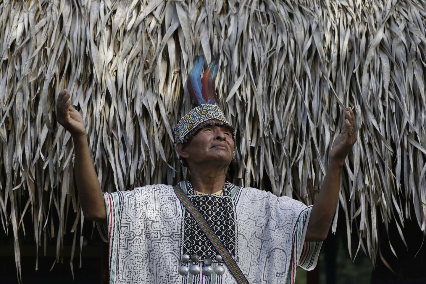 In this May 5, 2018 photo, Shaman Pablo Flores raises his hands to the sky before the beginning of an ayahuasca session, in Nuevo Egipto, a remote village in the jungles of Peru. Flores performs ayahuasca sessions for tourists. He does not charge for his services but does accept donations. (AP Photo/Martin Mejia)