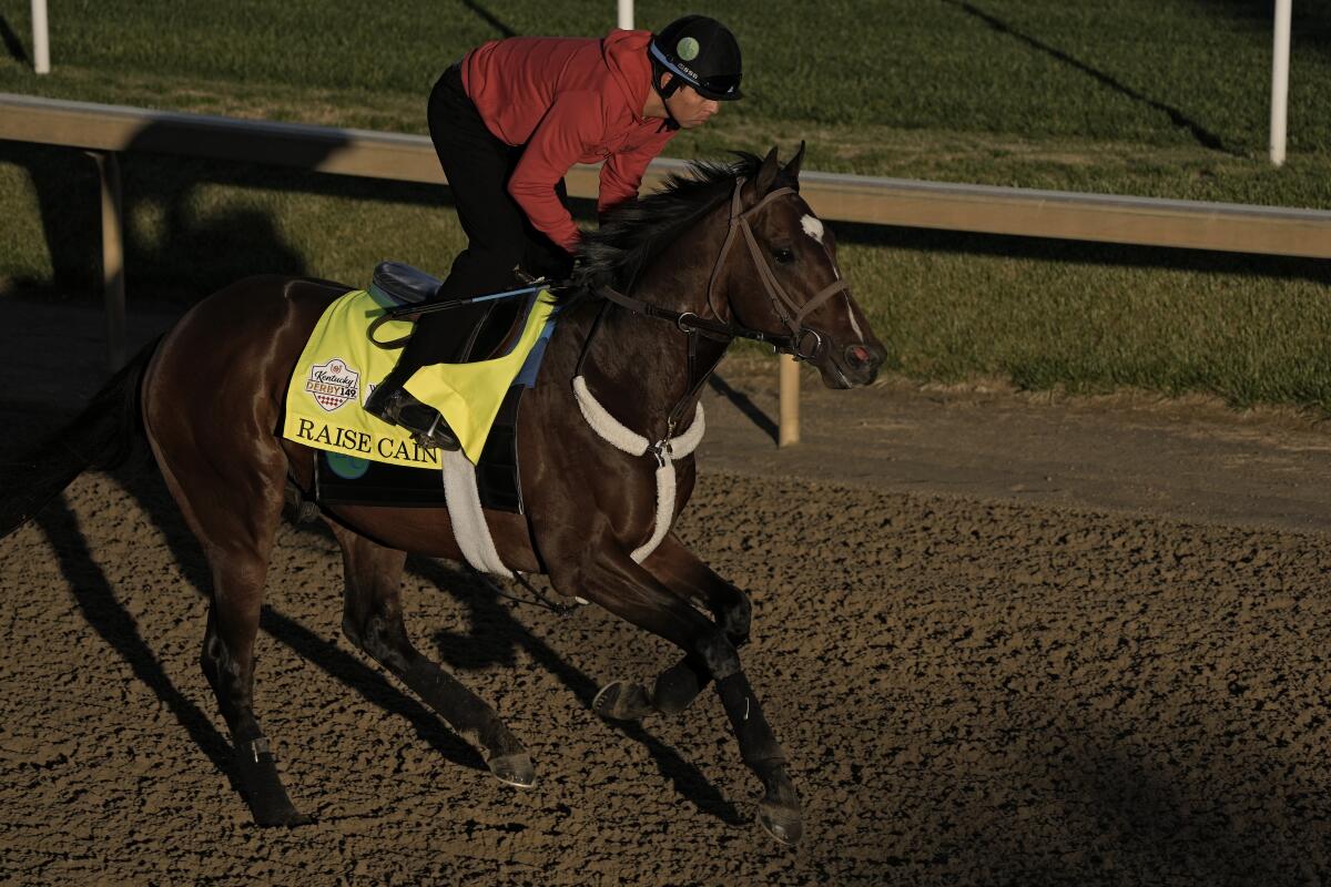 Kentucky Derby entrant Raise Cain works out at Churchill Downs on Wednesday.