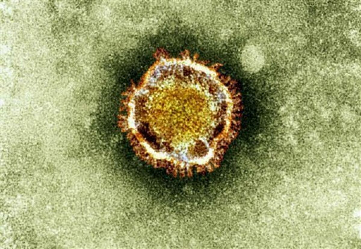 FILE - In this undated file image released by the British Health Protection Agency shows an electron microscope image of a coronavirus, part of a family of viruses that cause ailments including the common cold and SARS, which was first identified last year in the Middle East. Two respiratory viruses in different parts of the world have captured the attention of global health officials _ a novel coronavirus in the Middle East and a new bird flu spreading in China. Last week, the coronavirus relat