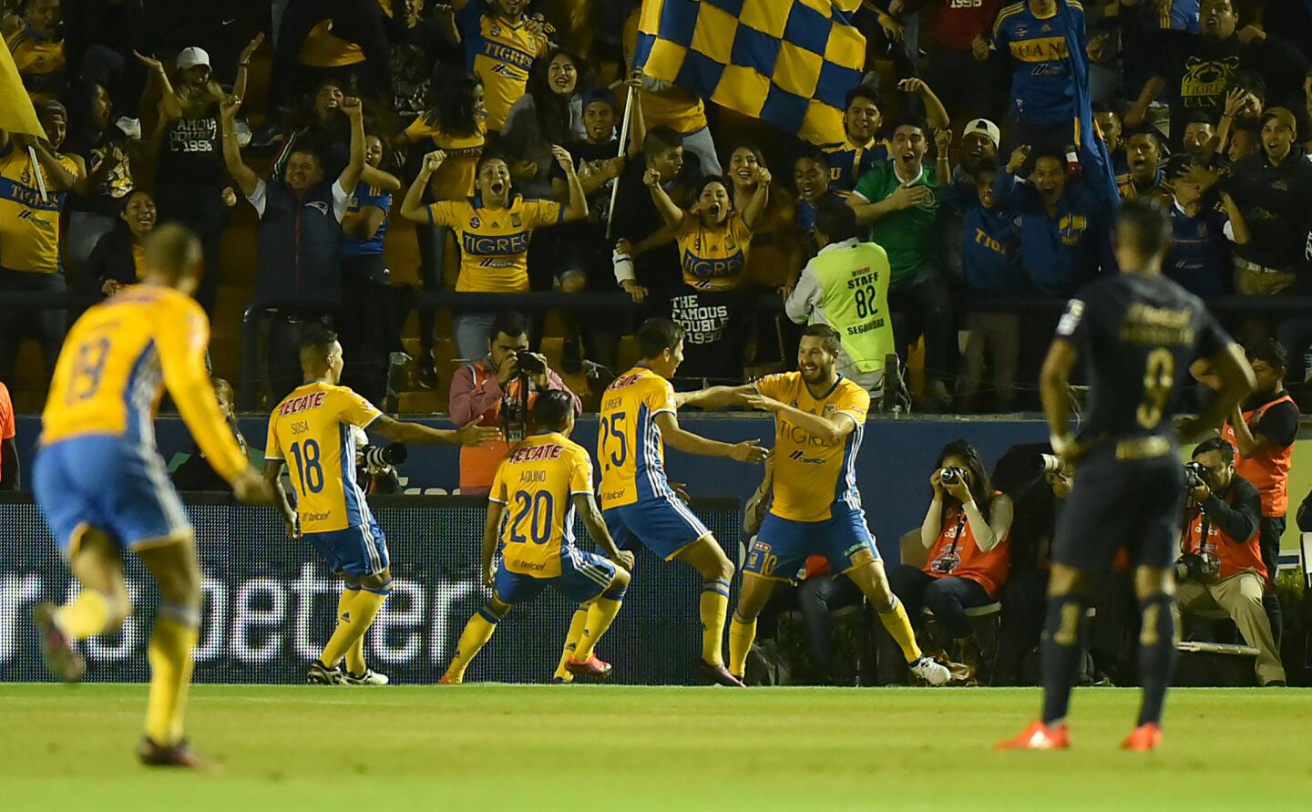 El ariete francés André-Pierre Gignac (d) marcó TRES GOLES y los Tigres lucieron aplastantes en casa, para humillar 5-0 a los Pumas, con lo que sellaron su pasaje a semifinales de la liguilla del torneo Apertura mexicano, en el estadio Universitario de Monterrey.