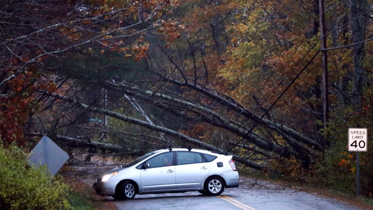 A motorist turns around after finding downed trees blocking a road in Freeport, Maine, on Monday. A strong wind storm has caused widespread power outages.