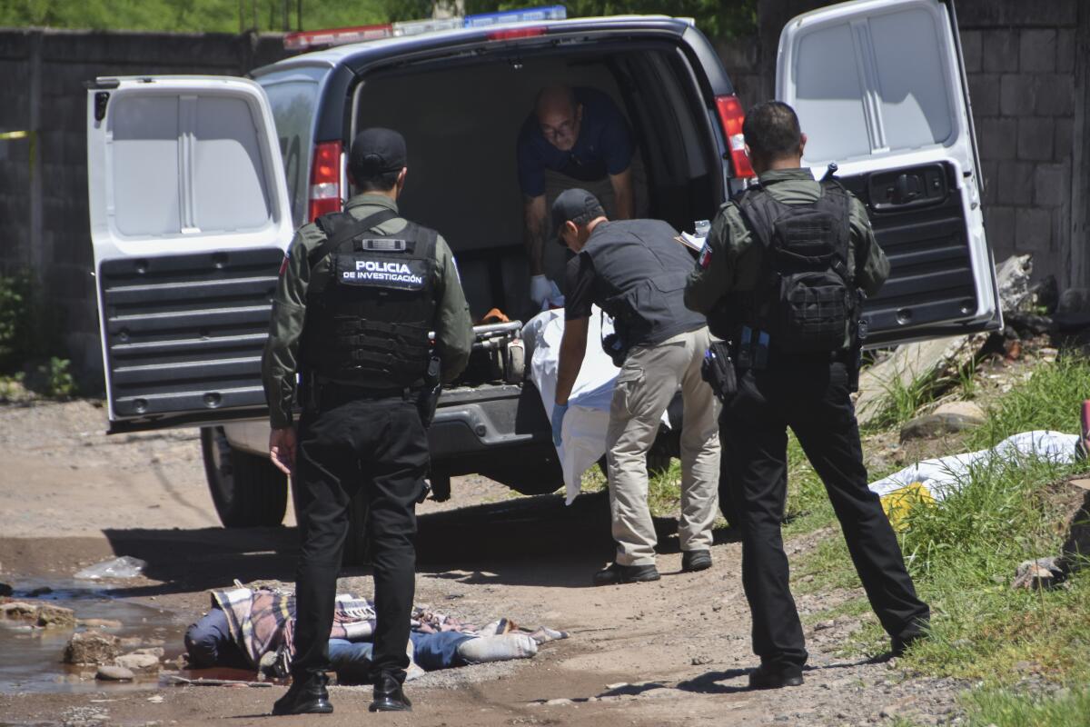 La policía observa cómo los forenses retiran cadáveres de una calle, en Culiacán, 