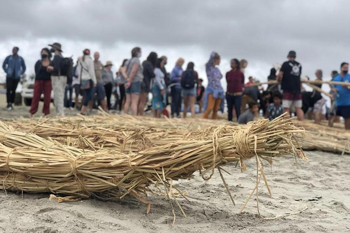 A canoe made of tule reels sits on a beach.