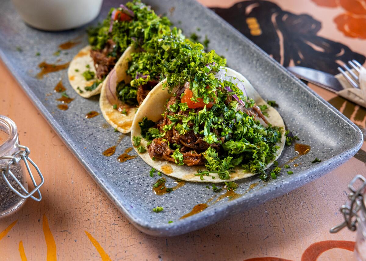   Trois tacos à la queue de bœuf, avec du chou frisé râpé, sur une assiette rectangulaire bleu-gris.