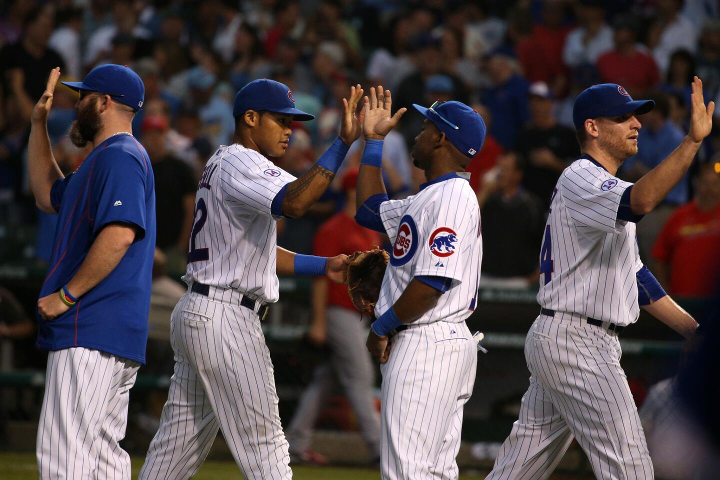Cubs players congratulate each other after they won the game.