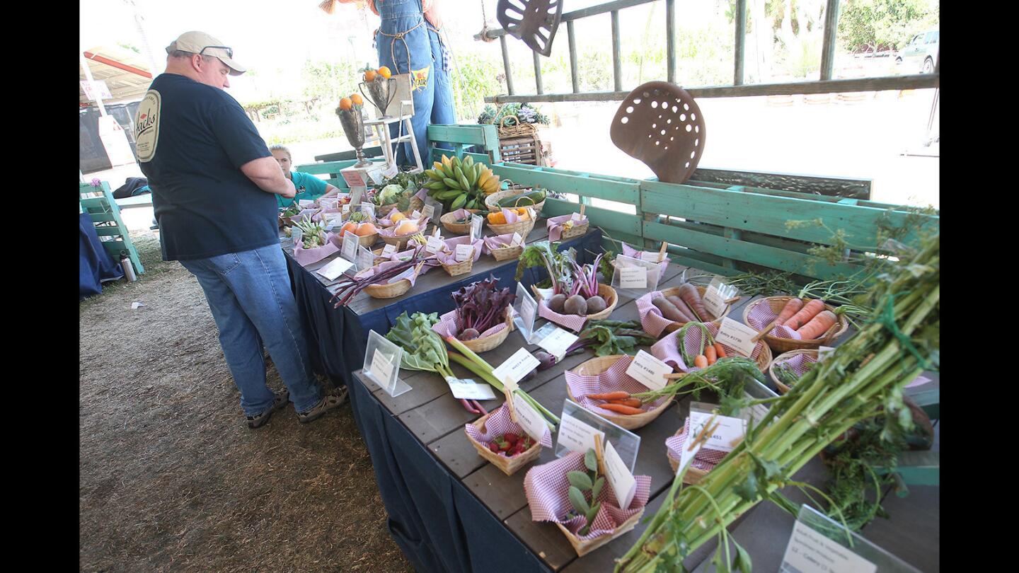 Judgment Day for produce at OC Fair