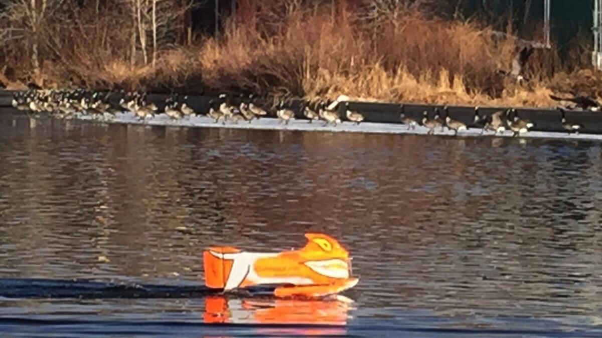 The goosinator is a remote-controlled machine that emits a high-pitched whine and travels across water to scare off Canada geese.