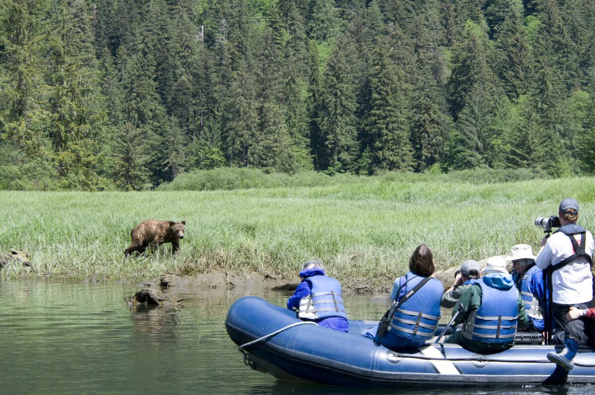 The Royal Canadian Geographical Society and Maple Leaf Adventures cruise gives participants a chance to view wildlife up close.