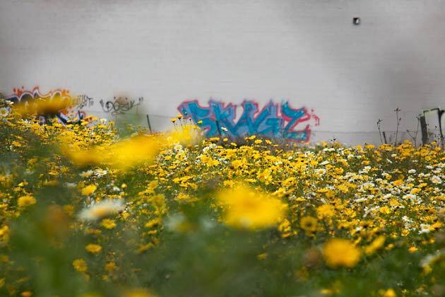 Ballona Creek