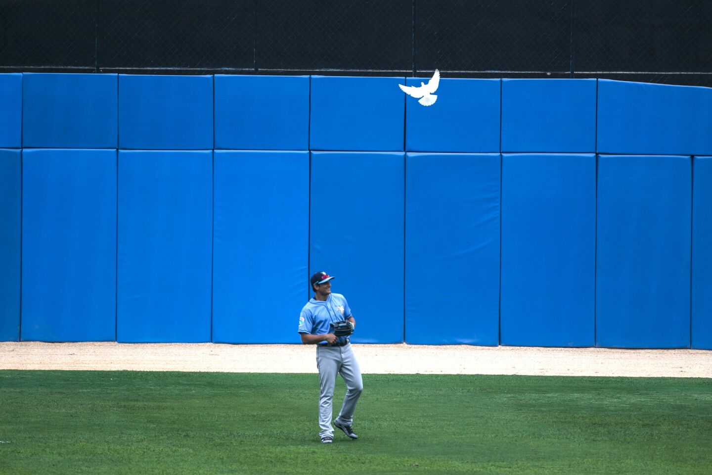 Rays center fielder Mikie Mahtook chuckles as a dove flies overhead during an exhibition game between Tampa and the Cuban National Team.