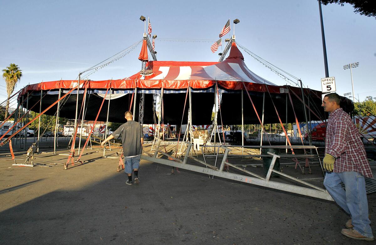 Local workers were hired to help put up the Ramos Circus tent on the Civic Center Auditorium's parking lot in Glendale on Tuesday, Nov. 20, 2012. The circus will be in town from Friday Nov. 23 through Monday Dec. 3.