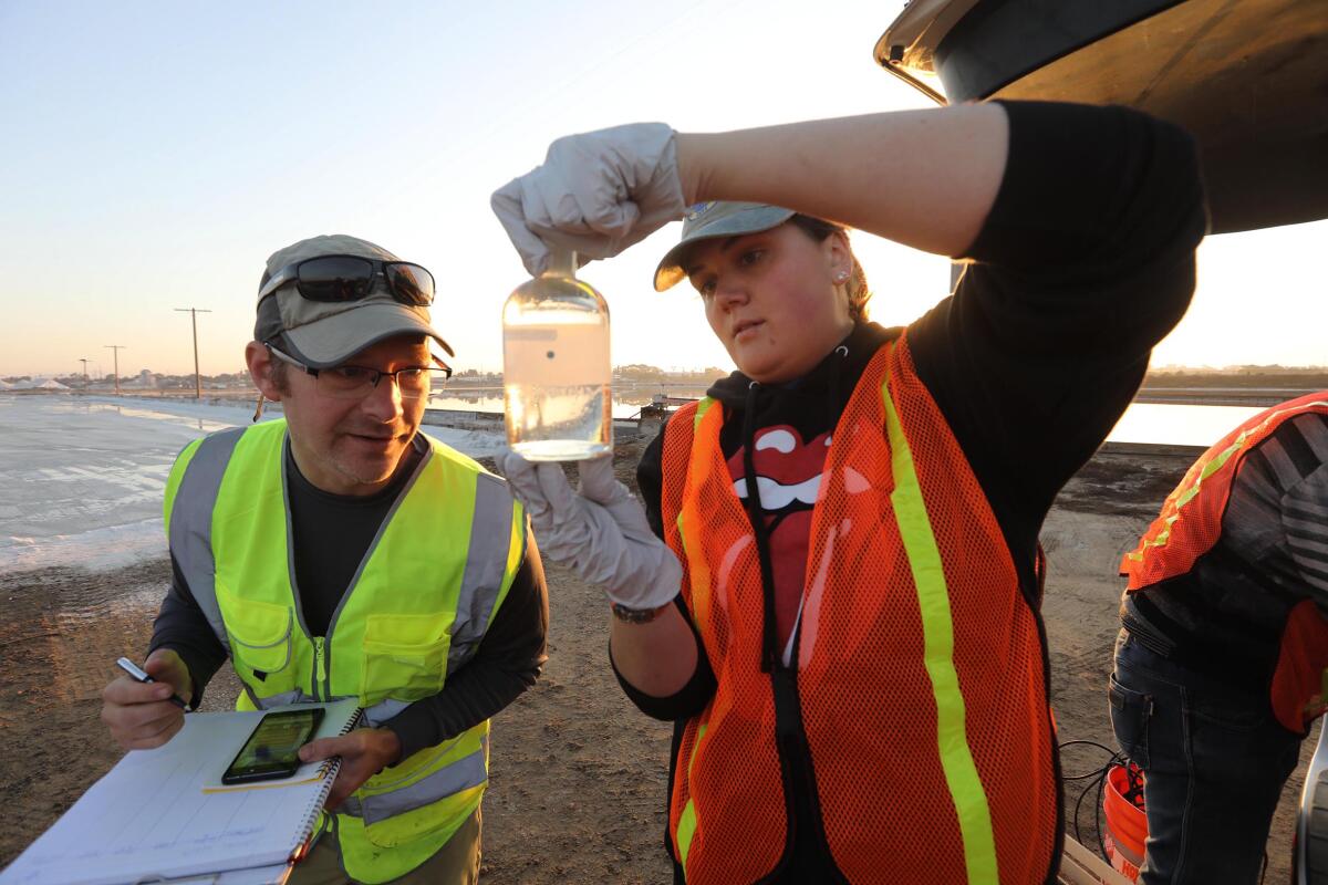 Researcher Jeff Bowman, from the Scripps Institution of Oceanography, left, and 1st year phd student Beth Connors looked at a sample that included a brine shrimp as they visited the San Diego Salt Works at the southernmost end of San Diego Bay to collect samples as part of a research project studying organisms that survive in the harsh, saline environment found there on Tuesday, October 15, 2019.