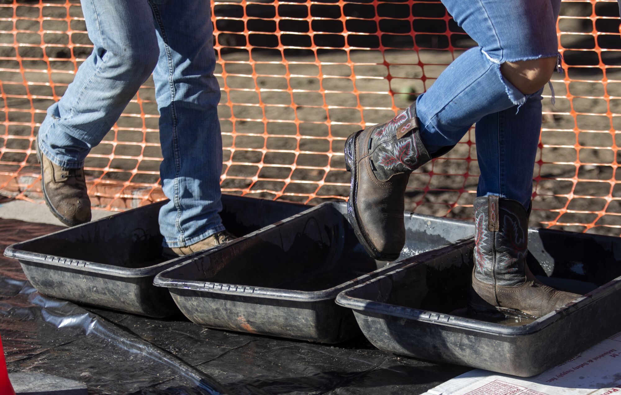 Workers step in tubs filled with water.