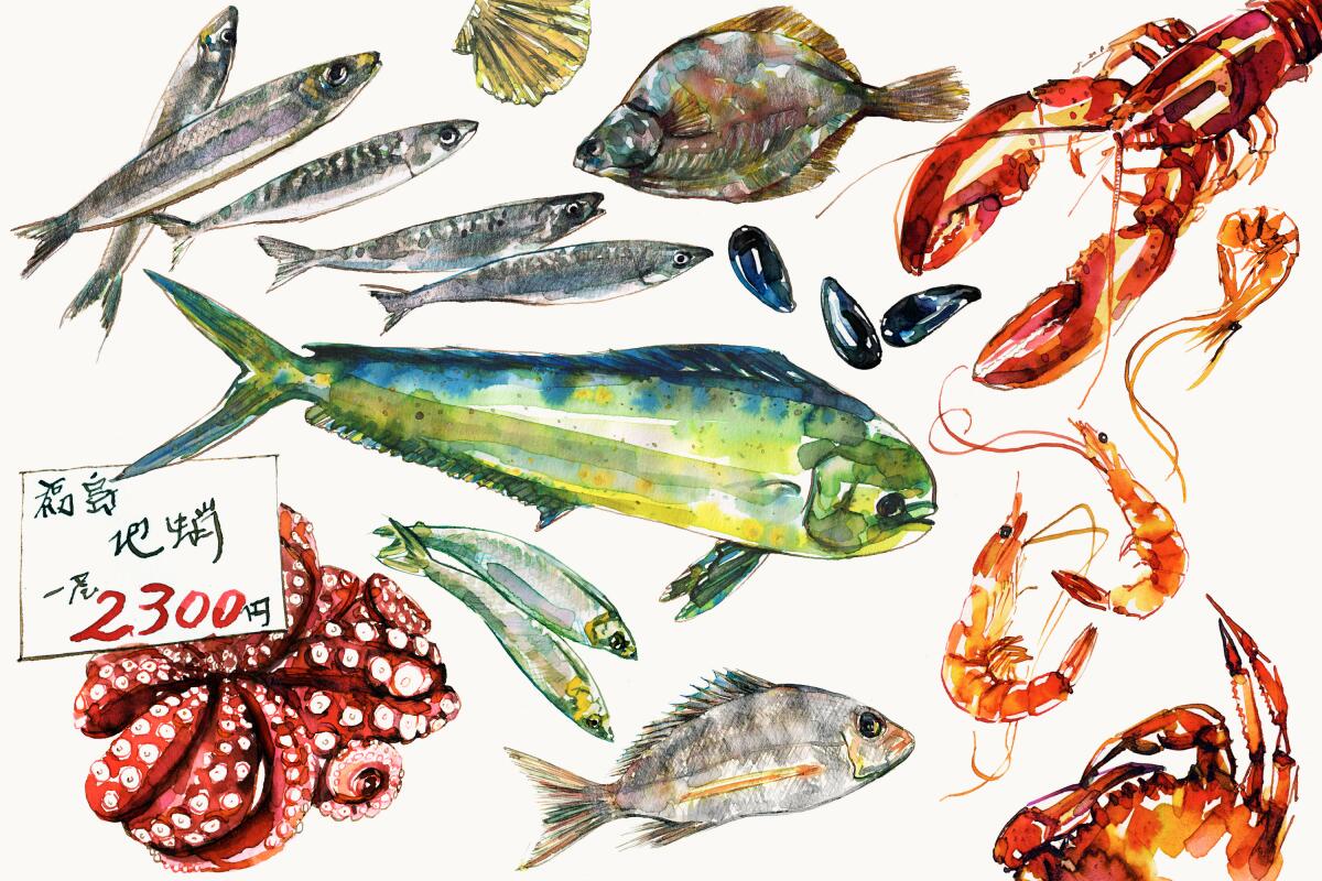 Imagen de agua en varios tipos de peces