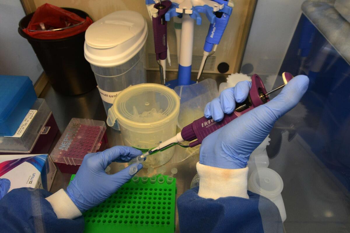 A doctor performs laboratory tests at the National Autonomous University of Honduras Microbiology Research Institute in Tegucigalpa. The university's microbiology department is leading research on the Zika virus.