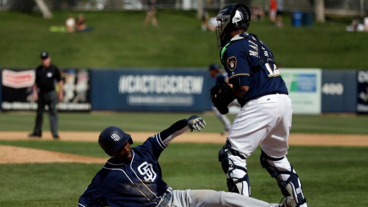 Brewers catcher Martin Maldonado looks on as the Padres' Jemile Weeks scores during the fourth inning of a spring training game on March 7.