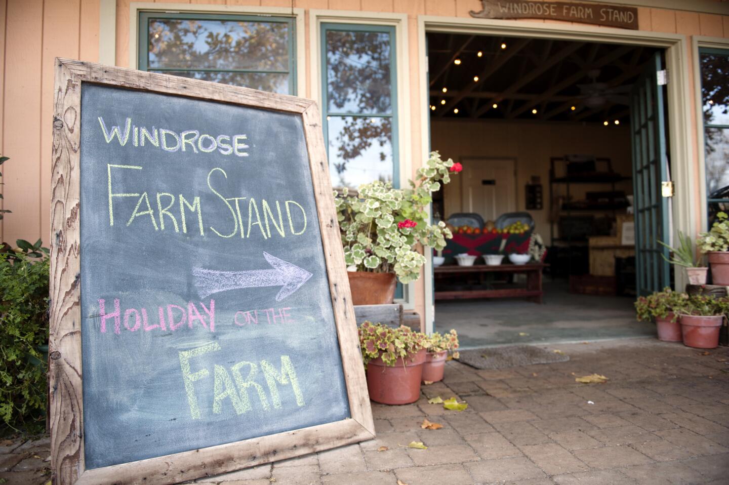 Windrose farm-to-holiday-table dinner