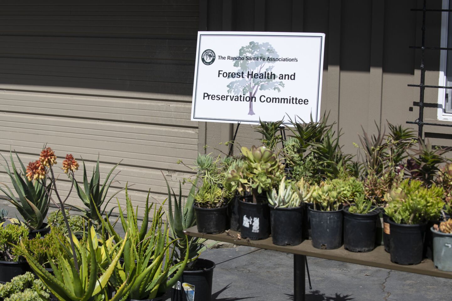 cm-rsftrees-2204-006.jpg