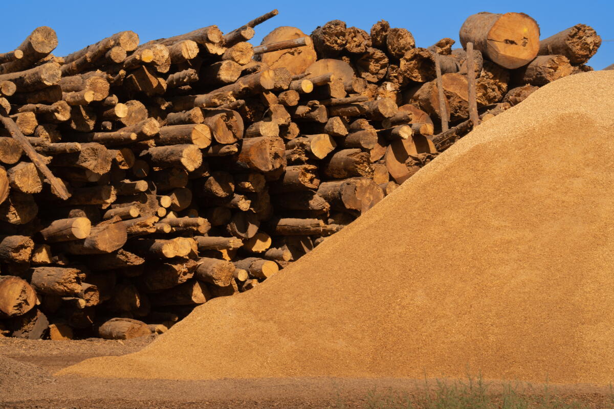 Letter Inlay Kit Letters to the Editor: Dead tree management is key to reversing ...