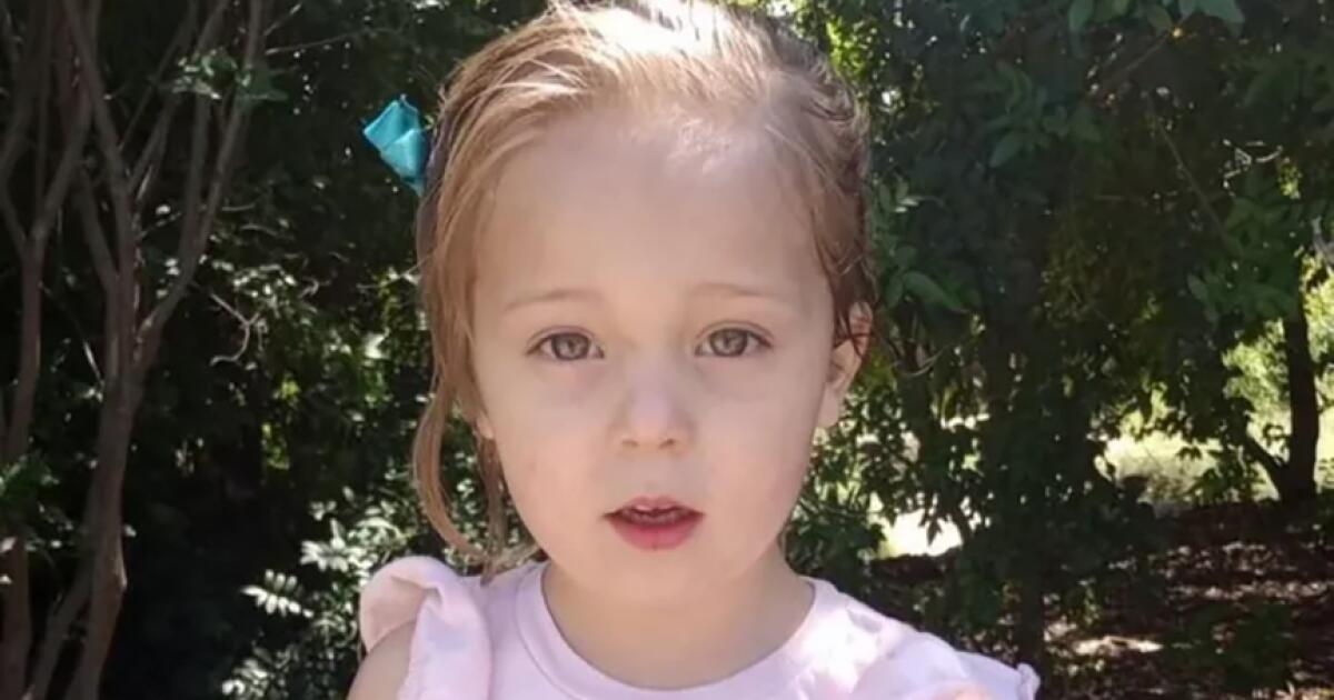 Pit bull that fatally mauled 4-year-old girl was “playful” family dog