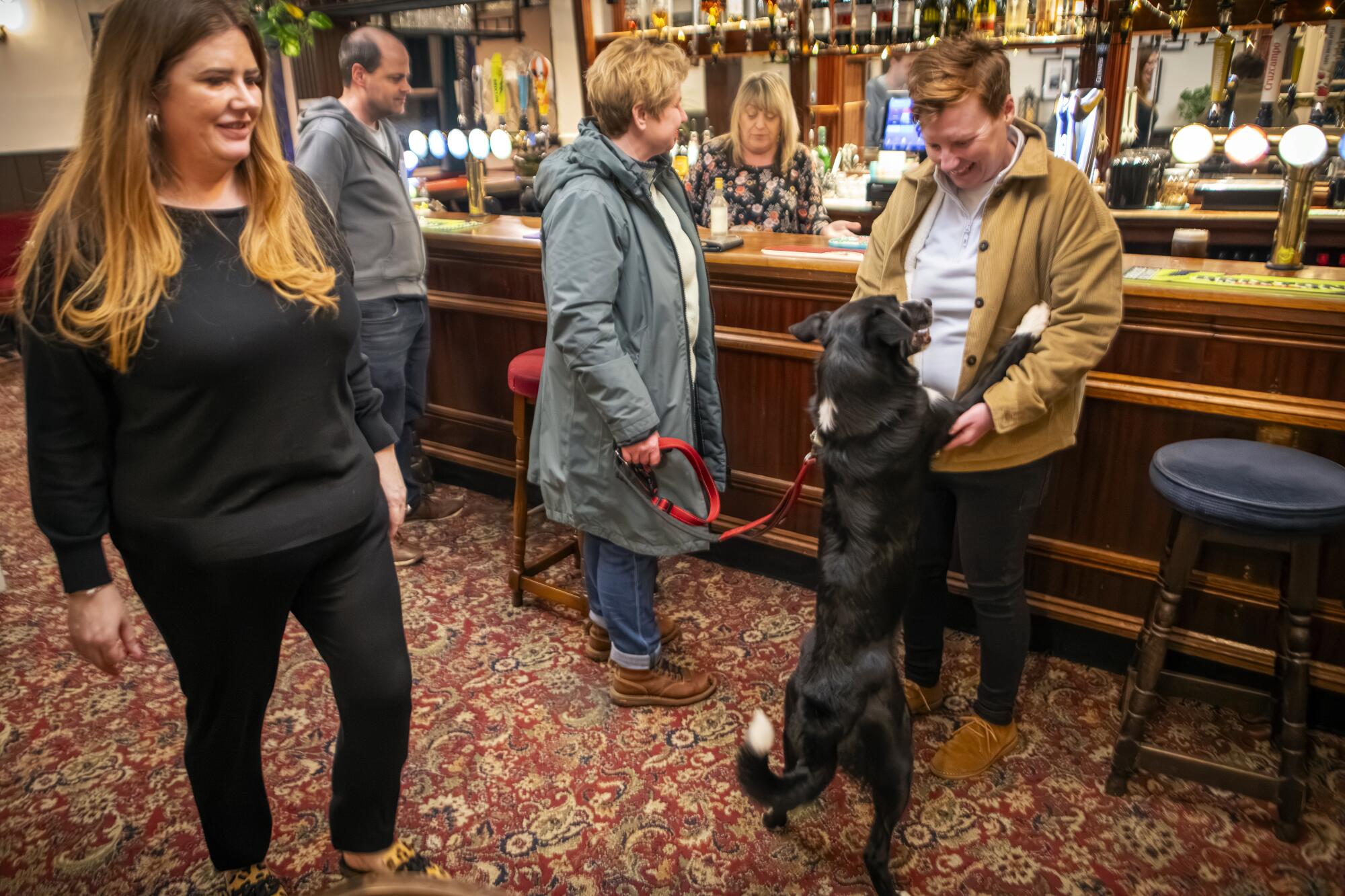 A dog on its hind legs raises its front paws over a person standing next to a bar  