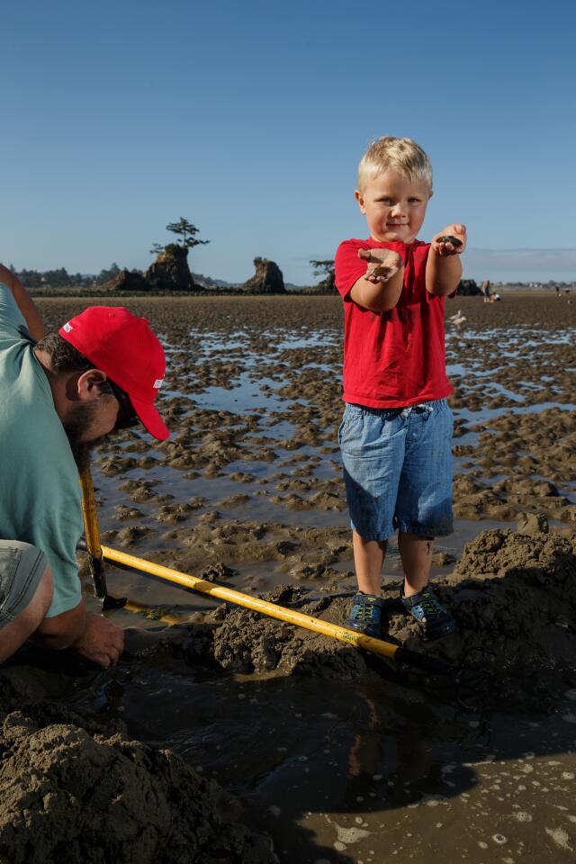 Clamming and crabbing in Oregon