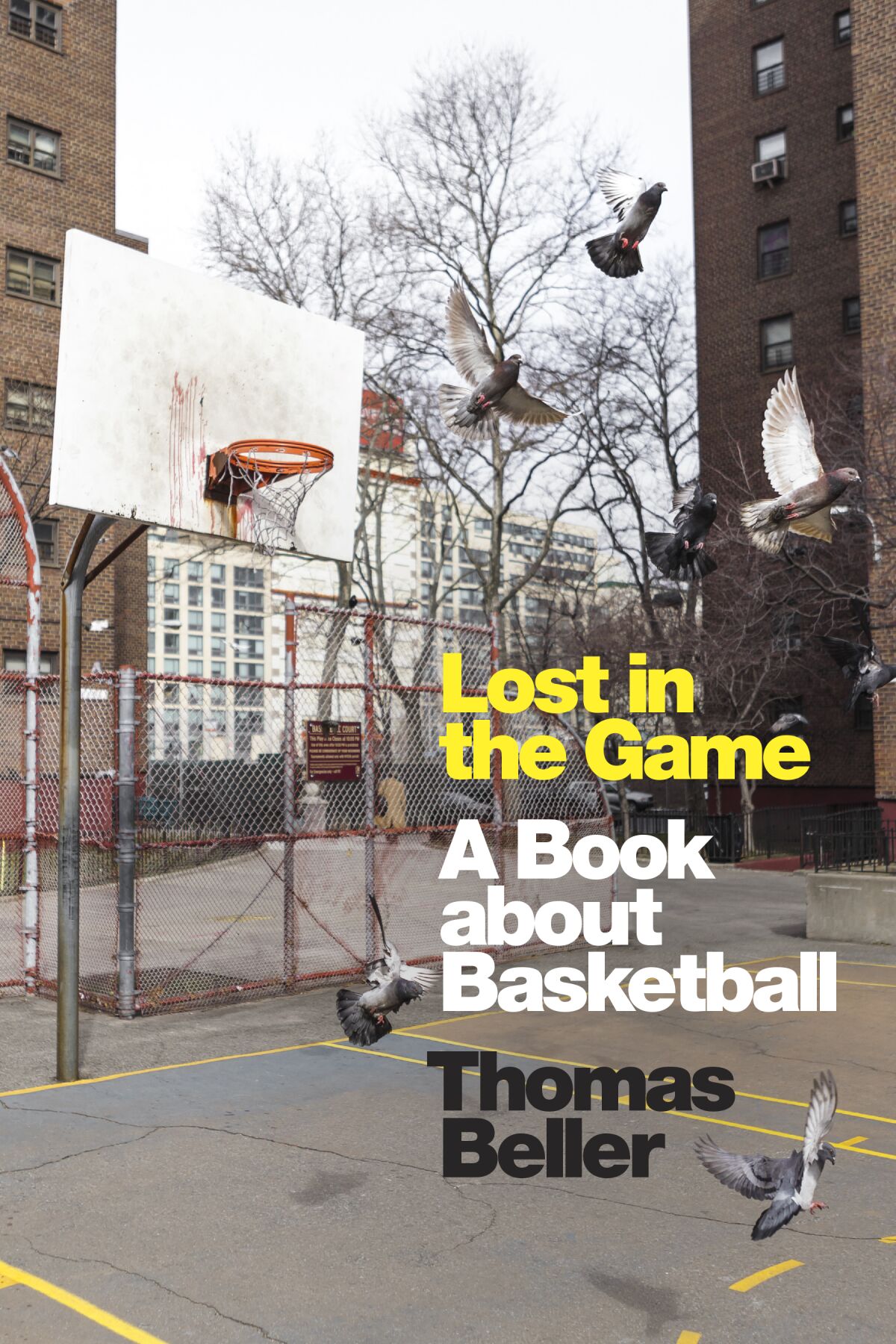 'Lost in the Game,' by Thomas Beller
