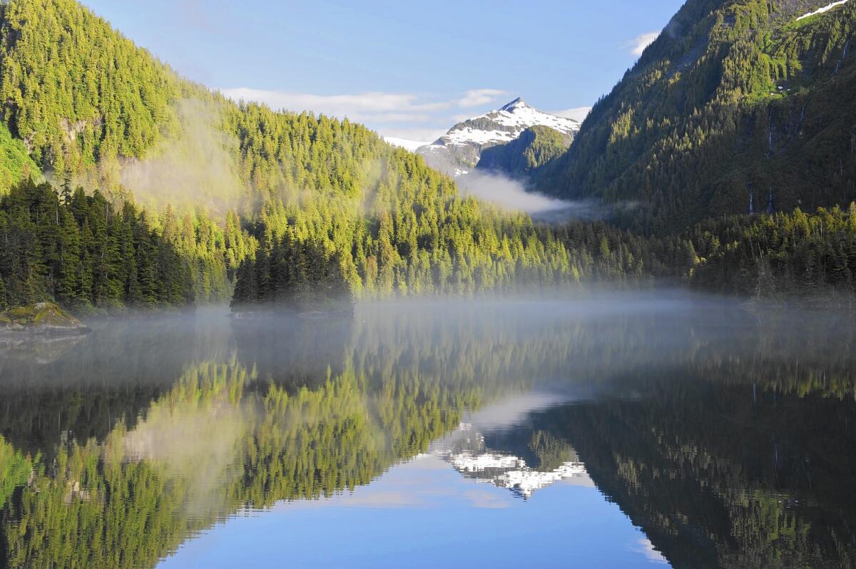 The Tongass National Forest in Alaska is the nation's largest national forest.