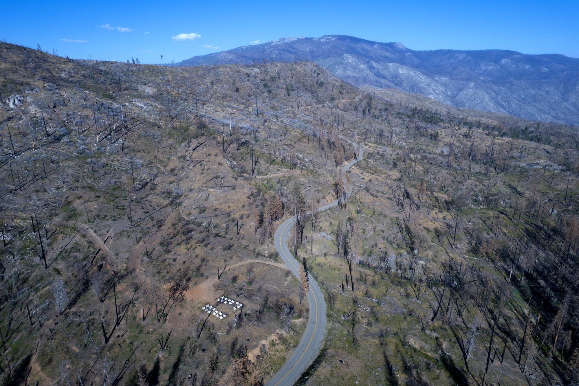 An aerial view of burned sections of the Sierra National Forest that were wiped out in the Creek Fire.