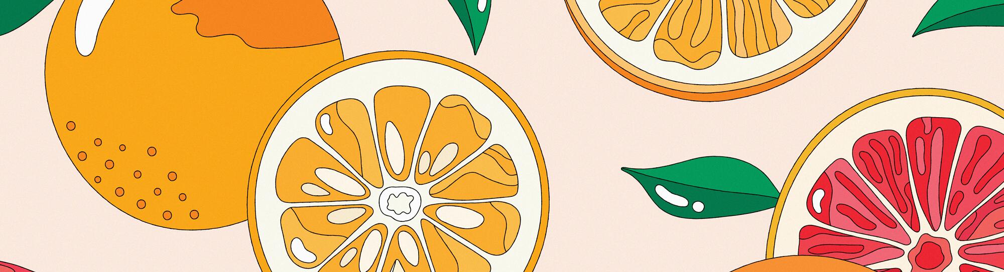 Lead illustration for L.A. in a Jar Citrus Marmalade.