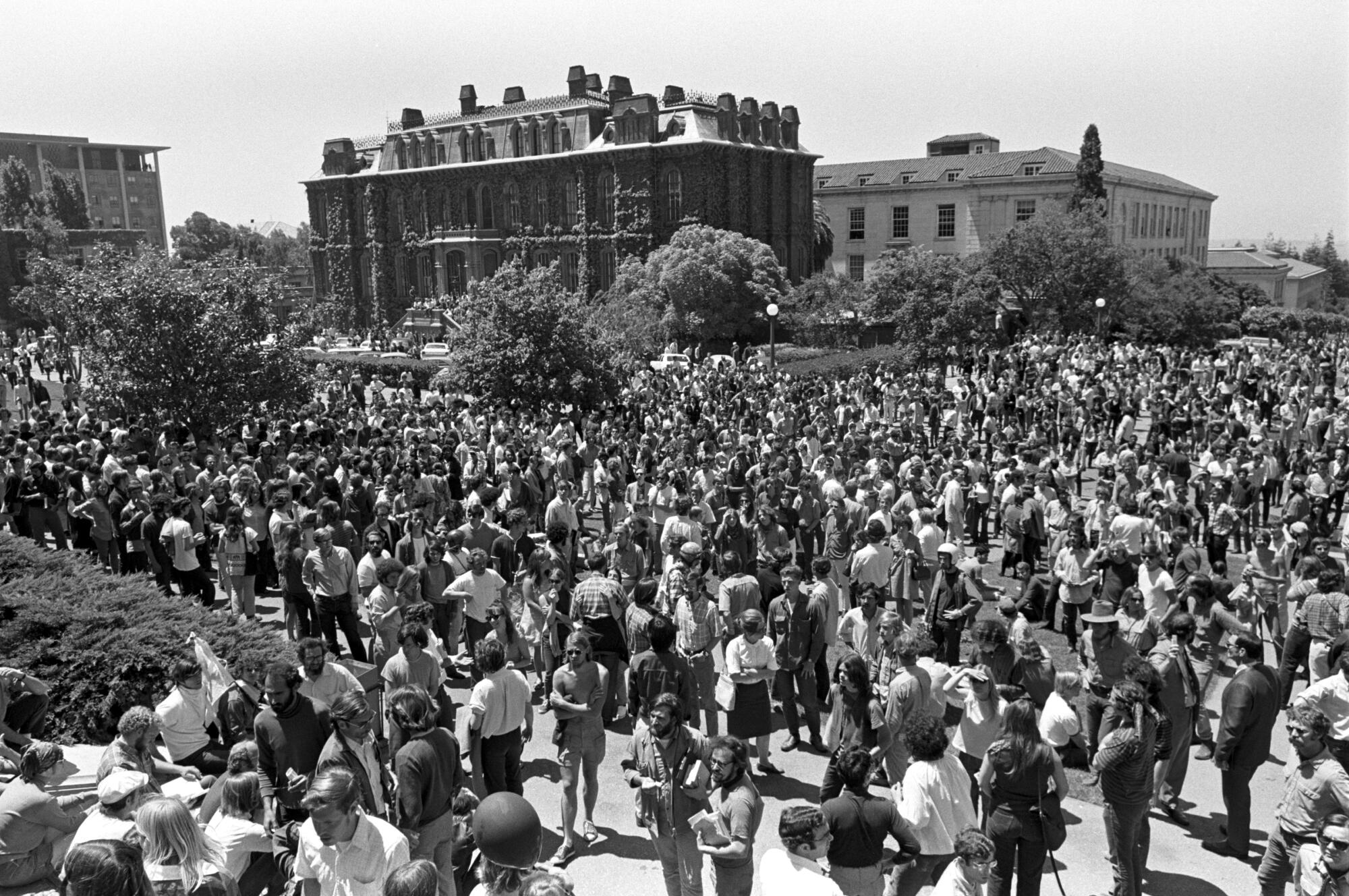 Elevated view of students and activists assembled on the campus of UC Berkeley.