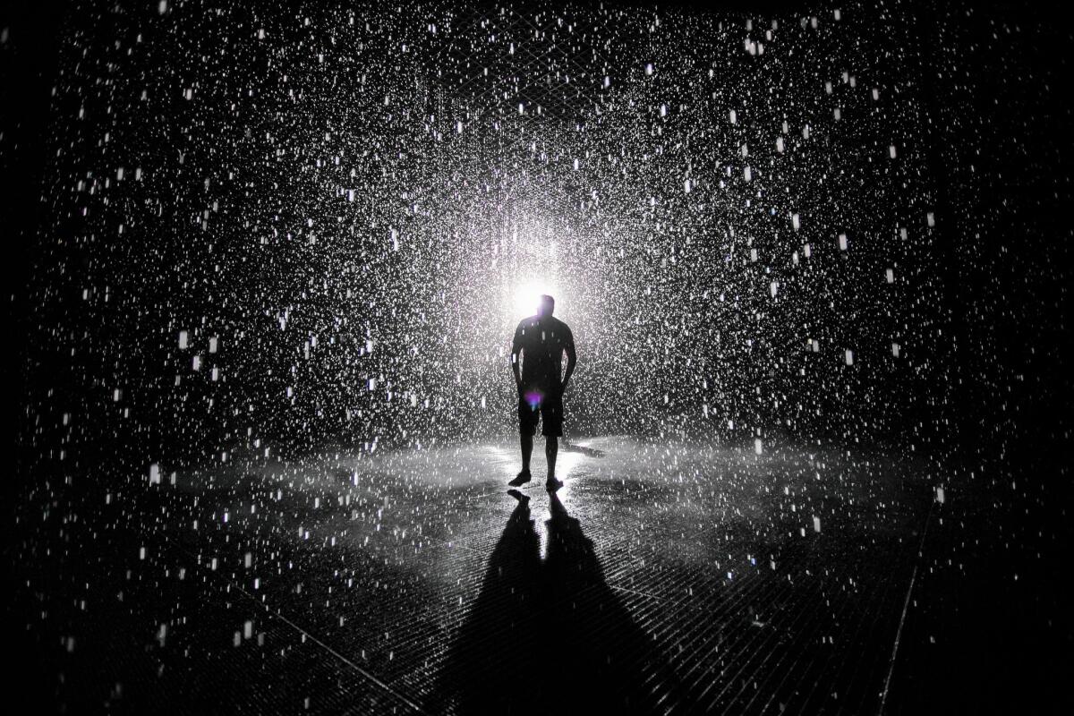 In a work that Moses would appreciate, Random International's Tom Stacey walks through a deluge and doesn’t get wet in the Rain Room at LACMA.
