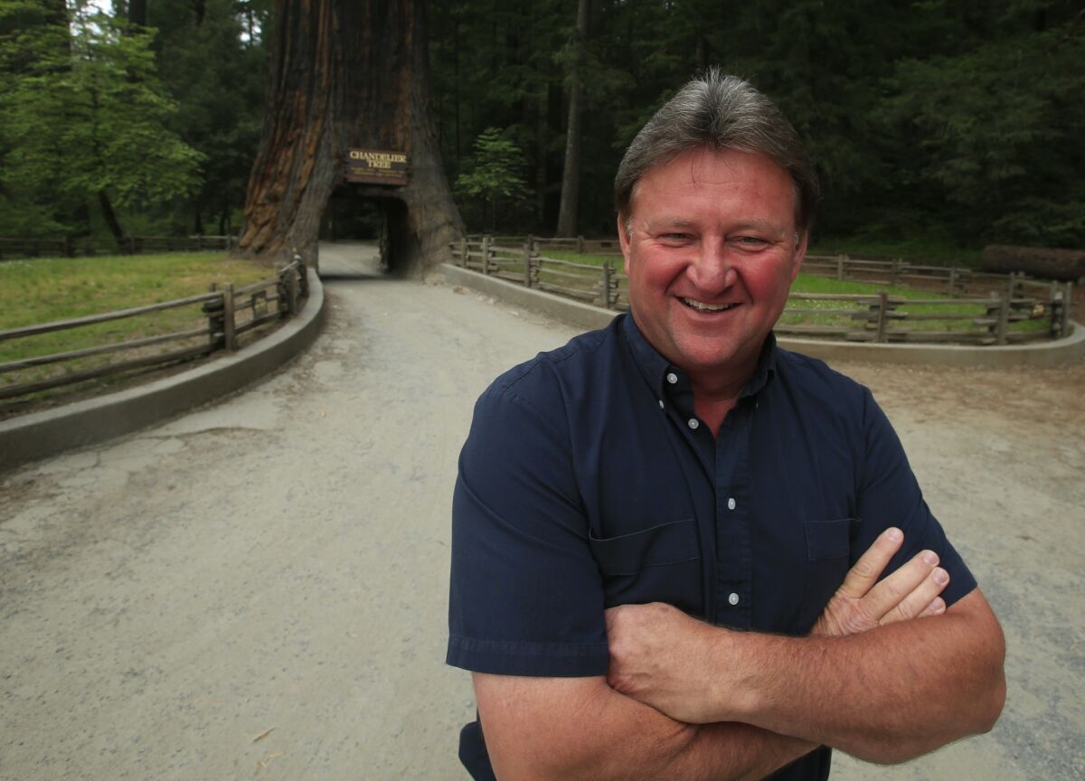 John Stephenson is almost as tall as the drive-through opening in the ancient coastal redwood known as the Chandelier Tree that he and his family have owned and maintained since 1921 in Leggett, Calif.