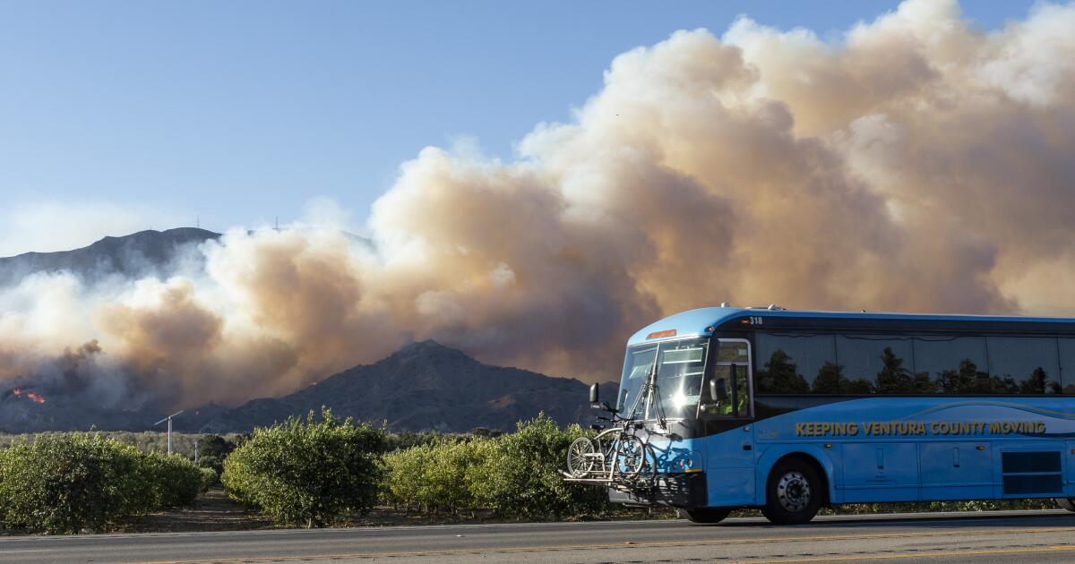 Orman yangını dumanı Kaliforniya, New York ve ötesini kirletiyor. Kendinizi koruyun