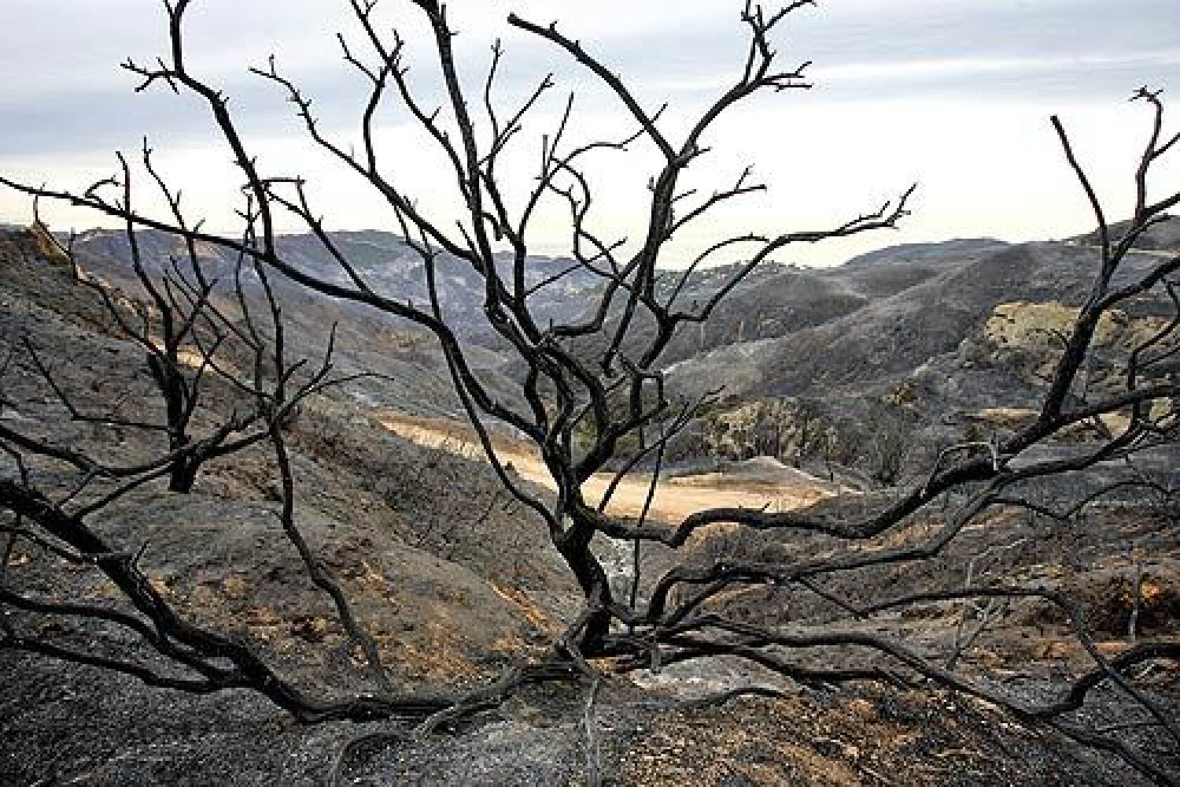 35 Homes Burned In Malibu Brush Fire Los Angeles Times