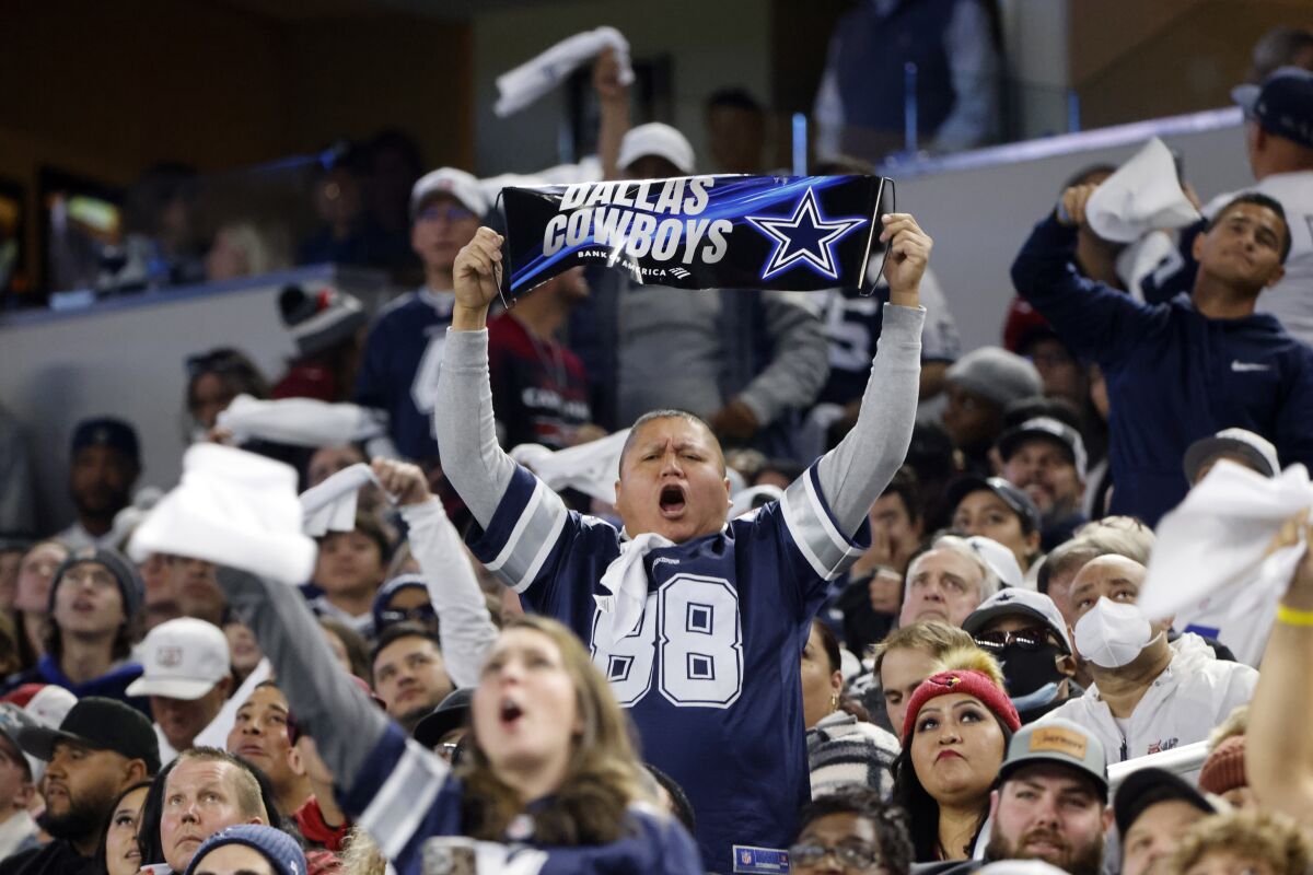 A Dallas Cowboys fan holds a sign and cheers during a game against the Arizona Cardinals.