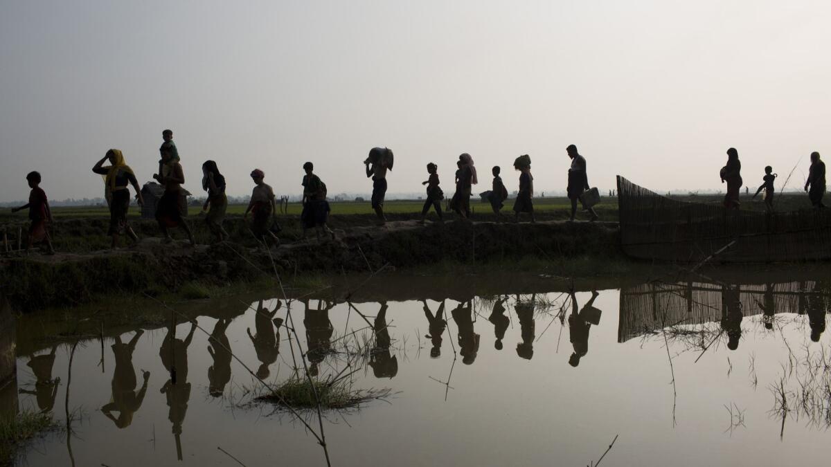 Rohingya refugees walk through rice fields after crossing into Bangladesh in September 2017.