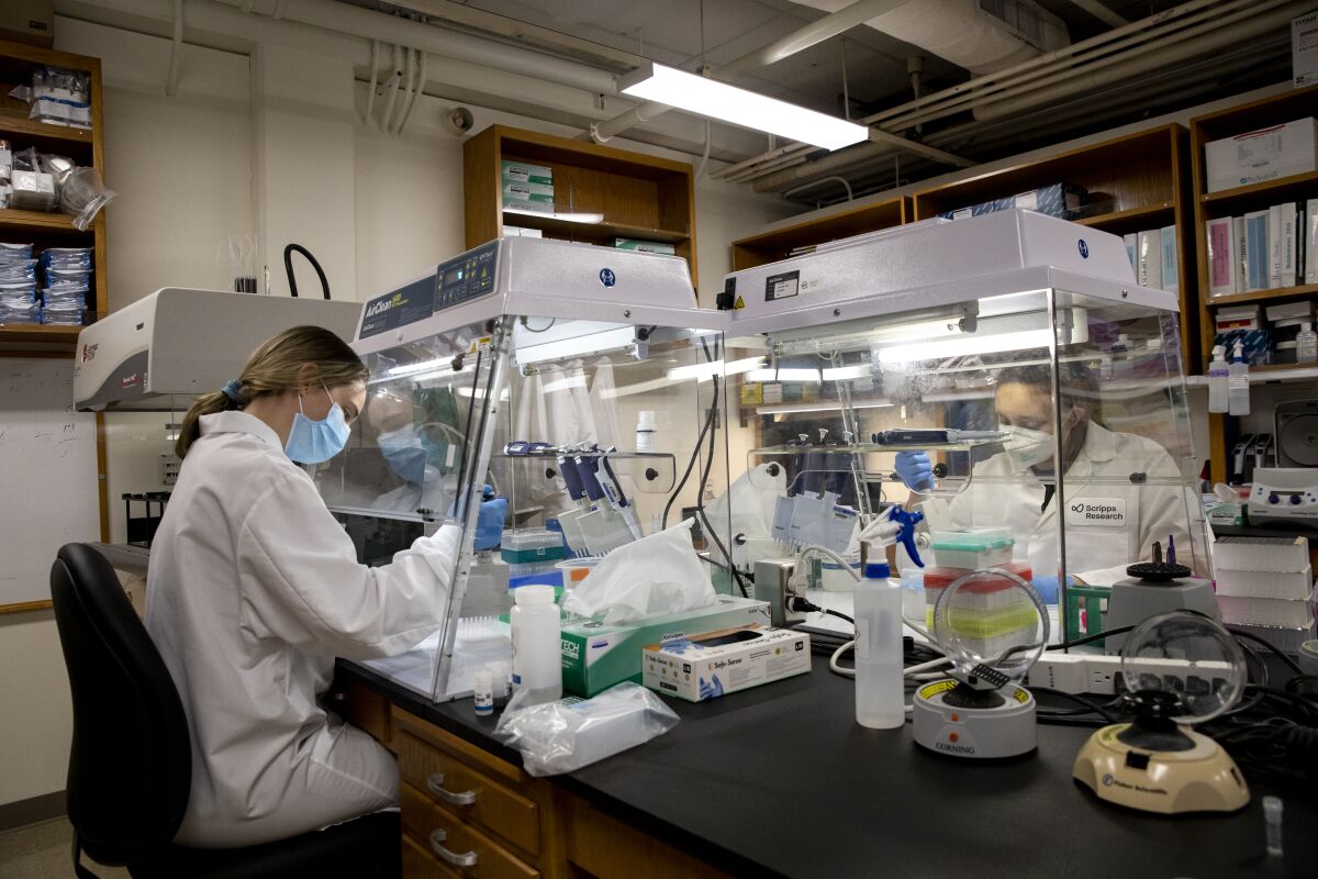 Research Technicians prepare plates to pull RNA genomes of coronavirus at Scripps Research on Friday.
