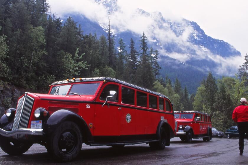 The Red Buses of Glacier National Park in Montana spend a lot of time on the park's iconic Going-to-the-Sun Road.