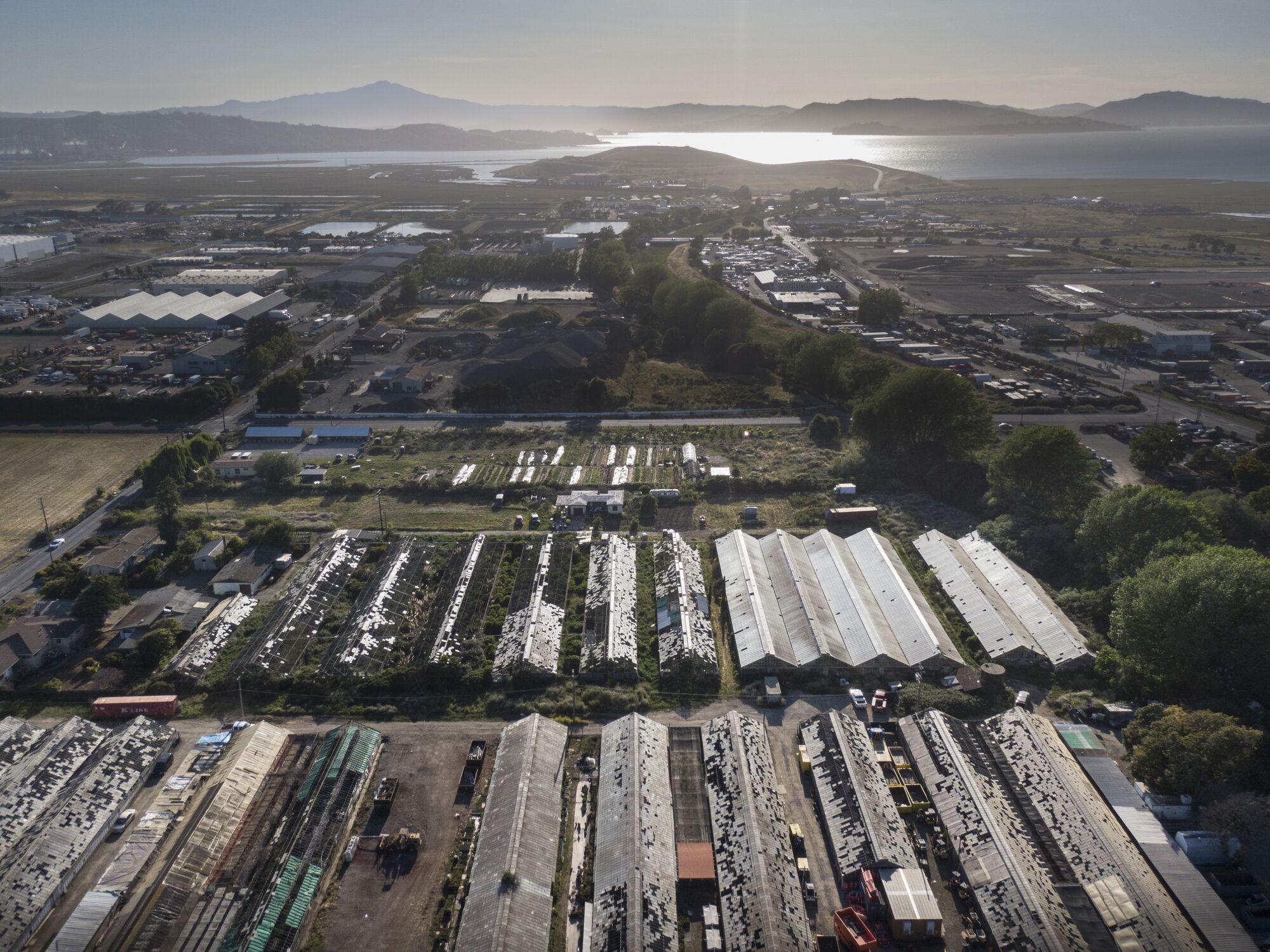 An aerial photo of Satoko Nabeta's nursery, foreground.