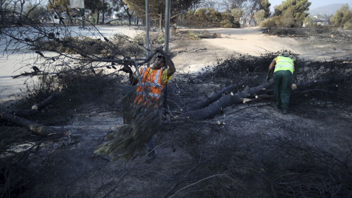 Workers cut burned trees in Rafina, east of Athens, on July 25, 2018.