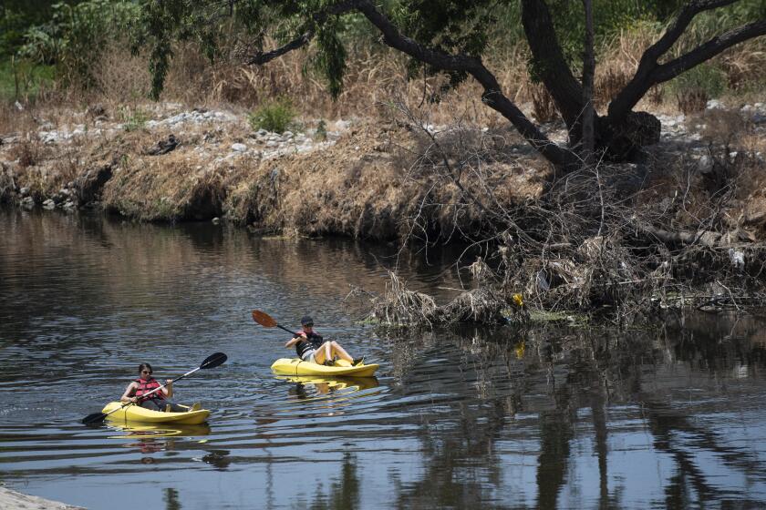 Kayakers float on the Los Angeles River in Elysian Park on Monday, May 31, 2021. The section of the river is now open for the season to kayakers. ( Nick Agro / For The Times )