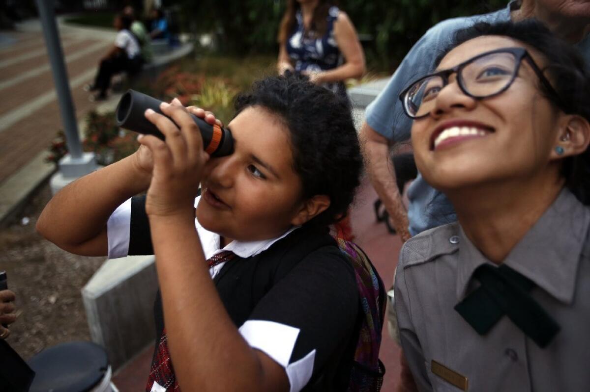 Jada Domanski, left, and National Park Service Ranger Kya-Marina Le keep an eye out from Spring Street Park as a flock of Vaux's swifts begin to fly overhead.