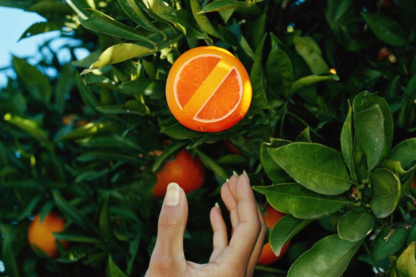 photo illustration showing a "no" symbol cut out of an orange on a tree with a hand reaching for it