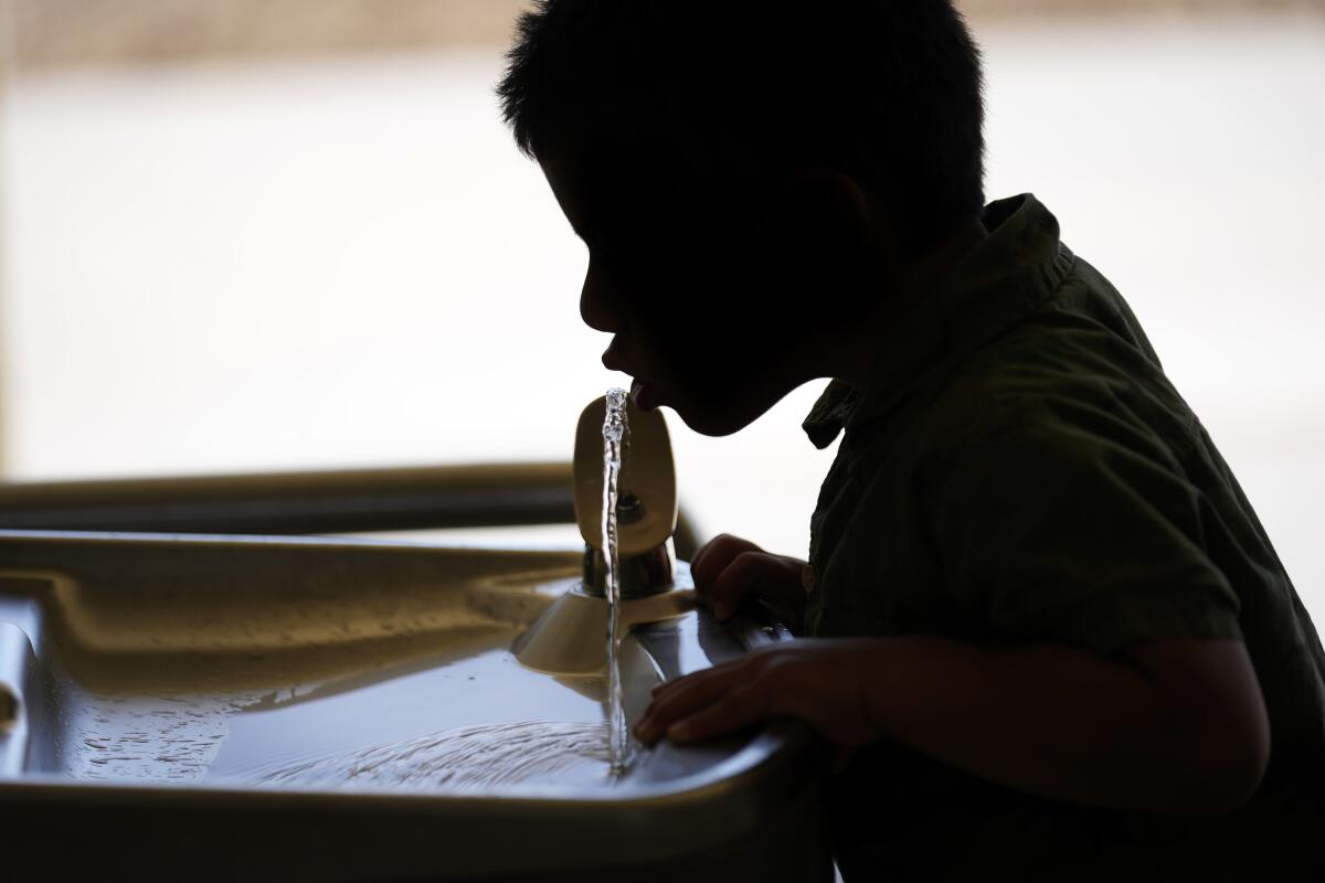 A student drinks from a water fountain.