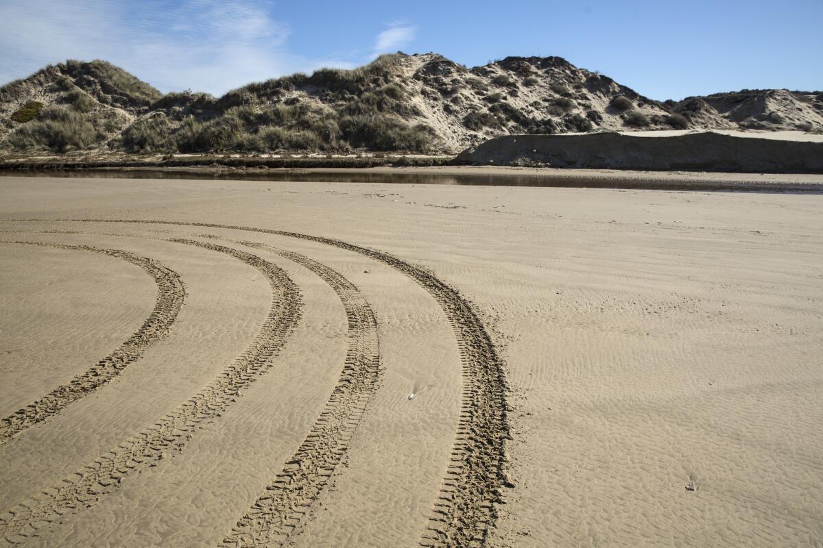 Tracks on the sand at Oceano Dunes State Vehicular Recreation Area in January 2017.