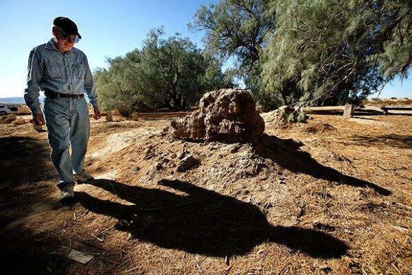 Al Gartner of the 29 Palms Historical Society inspects the remains of an adobe house at the Poste Homestead Natural and Historic Area. Preservationists say the area was damaged by off-road vehicle enthusiasts over the Thanksgiving weekend.